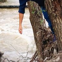 Çiyako Rehmanî's Photo