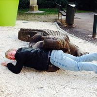 Roman SAINT-HILAIRE's Photo