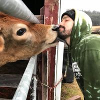 Michael Dolling的照片