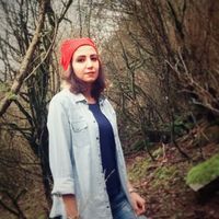 Andisheh Karami的照片