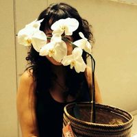 Фотографии пользователя Thalita Fonseca