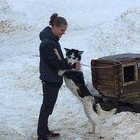 David Schulz的照片