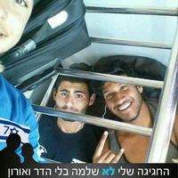 Kobi Davidov的照片