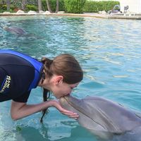 Katarína Kasardová's Photo