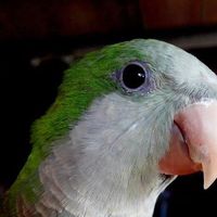 Gaston Blando's Photo