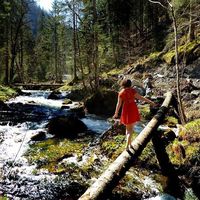 Vivien Schmoller的照片