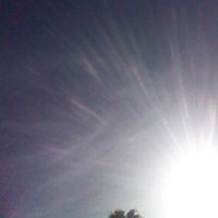 Florence de Roubaix的照片