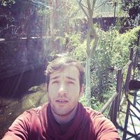 Tayfun Aksungur的照片