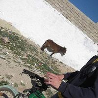 Fotos de andrea Blanko