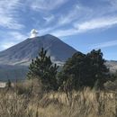 Hiking near by CDMX's picture
