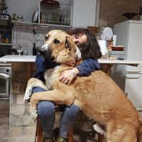 Photos de Auxi Rodriguez