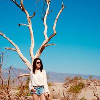 Bonnie Hung的照片