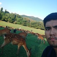 Fotos de Nacho Baena Kuroda