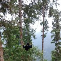 Camilo Moreno Oliveros的照片