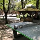 Bilder von Mainz hangout - Tischtennis