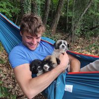 Matevž Kepic的照片