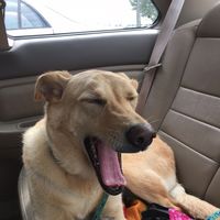 Le foto di Ellen Polley