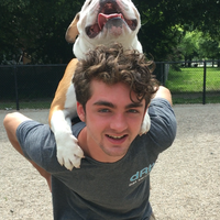 Ciaran Flaherty的照片