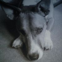 Claire Gunn的照片