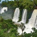 Vamos a Iguazú! 's picture