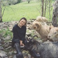 Tracy Brannstrom's Photo