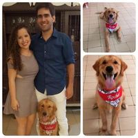 Fotos de Rodrigo Saboya