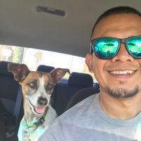 Mario Peregrino的照片