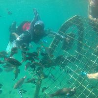 Irvin Miningsih's Photo