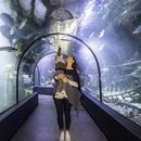 Croisic aquarium visit's picture