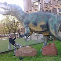 Albert Mamla's Photo