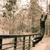 David Britnell's Photo