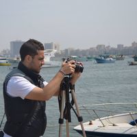 Ahmed El-Ghazouly's Photo