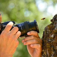 Alejandro Labrada's Photo