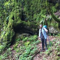 afshar kalhor's Photo