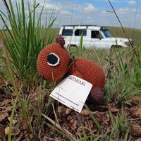 Luis Vago Suárez's Photo