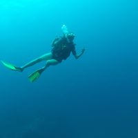 Fotos von Claire Hamilton