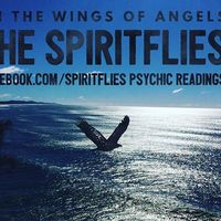 Marcelle Linsley-Adams's Photo