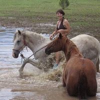 Nicola Brookhouse's Photo