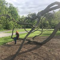 Gabriele Wachter的照片