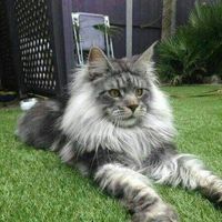 Julyana Joao的照片