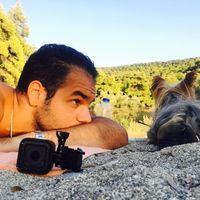 Tamer Ismail's Photo