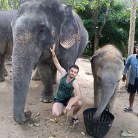 Fotos von Octavian Albu