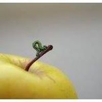 Sabine Huber的照片