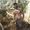 Cahuil Bezzo's Photo