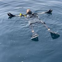 issam Almasaoudi's Photo