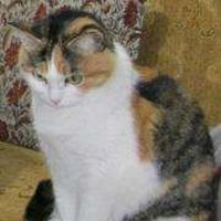 Güzide Kenar Gür's Photo