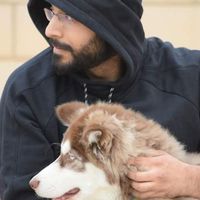 Omar Fayyaz的照片