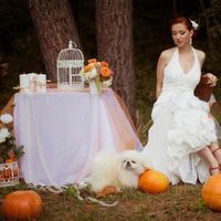 Solomiya Koxancuk的照片