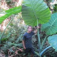 Bernd van Rennings's Photo