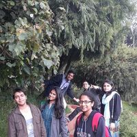 Dhanashree Naik的照片